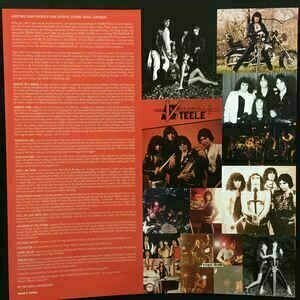 Vinyl Record Virgin Steele - 15 (LP) - 3
