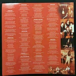 Vinyl Record Virgin Steele - 15 (LP) - 4