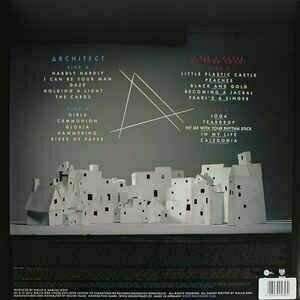 Vinyl Record Wallis Bird - Architect (LP + CD) - 2