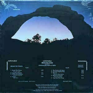 Vinylplade Jake Hottell Break The Chains (LP) - 2