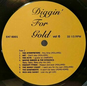 Vinylskiva Various Artists - Diggin’ For Gold Volume 6 (LP) - 2