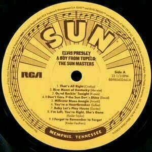 Disque vinyle Elvis Presley A Boy From Tupelo: The Sun Masters (LP) - 2