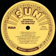 LP deska Elvis Presley - A Boy From Tupelo: The Sun Masters (LP) - 2