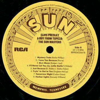 Vinyl Record Elvis Presley A Boy From Tupelo: The Sun Masters (LP) - 3