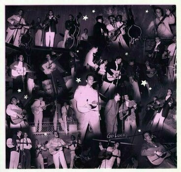 Schallplatte Elvis Presley A Boy From Tupelo: The Sun Masters (LP) - 5