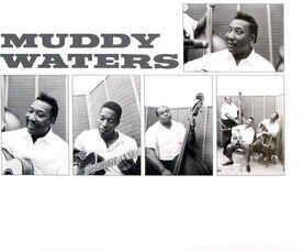 Vinylplate Muddy Waters Folk Singer (2 LP) - 4