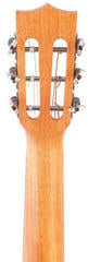Guitalele Pasadena GU-28E Natural Guitalele - 5