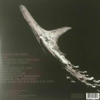 Disco de vinilo Leeched - You Took The Sun When You Left (LP) - 2