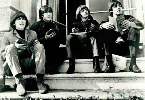 Disque vinyle The Beatles - Home And Away '64-'66 (Coloured) (Box Set) - 2