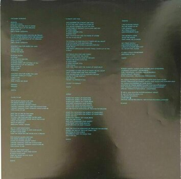Vinyl Record The Cure - The Head On the Door (LP) - 6