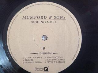 Vinüülplaat Mumford & Sons - Sigh No More (180g) (LP) - 3