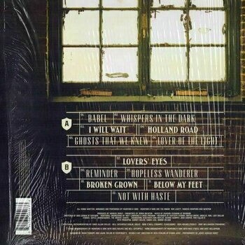 Vinylplade Mumford & Sons - Babel (180g) (LP) - 2