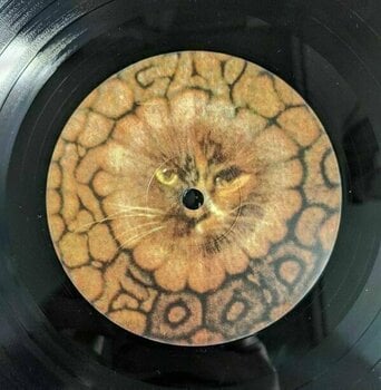 Disco de vinil King Crimson - Rarities (200g) (2 LP) - 7
