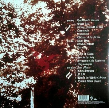 Δίσκος LP Black Sabbath - Past Lives (Deluxe Edition) (2 LP) - 8