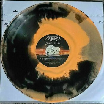 Schallplatte Anthrax - Persistence Of Time (30th Anniversary) (4 LP) - 13
