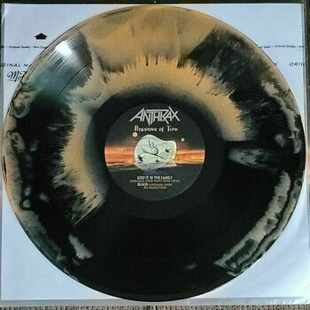 Vinylskiva Anthrax - Persistence Of Time (30th Anniversary) (4 LP) - 15