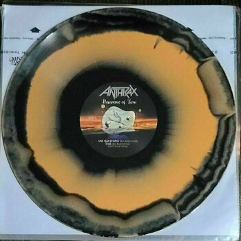 Vinyl Record Anthrax - Persistence Of Time (30th Anniversary) (4 LP) - 19
