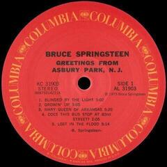 Disc de vinil Bruce Springsteen - The Album Collection Vol. 1 (Box Set) (8 LP) - 7