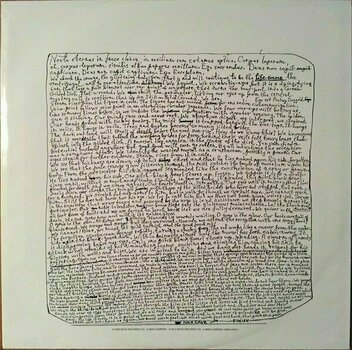 Disque vinyle Nick Cave & The Bad Seeds - From Her to Eternity (180g) (LP) - 6