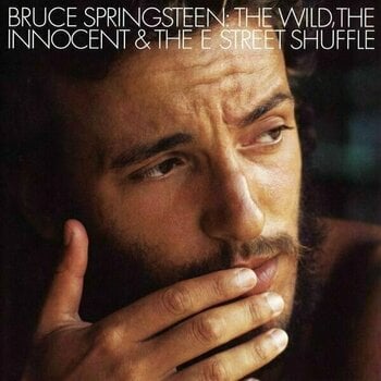 LP Bruce Springsteen - The Album Collection Vol 1 1973-1984 (Box Set) - 13