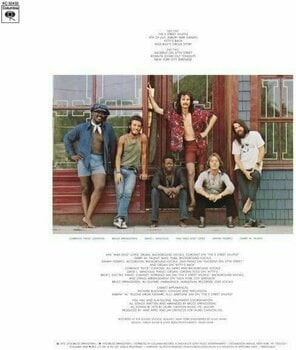 Disque vinyle Bruce Springsteen - The Album Collection Vol 1 1973-1984 (Box Set) - 14