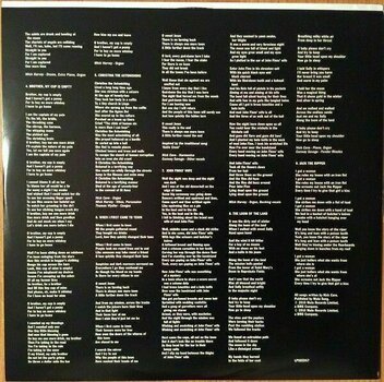 Płyta winylowa Nick Cave & The Bad Seeds - Henry's Dream (180g) (LP) - 6