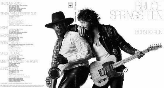 LP Bruce Springsteen - The Album Collection Vol 1 1973-1984 (Box Set) - 21