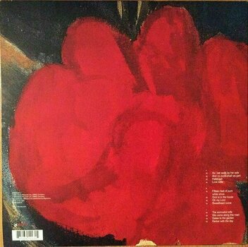 Schallplatte Nick Cave & The Bad Seeds - No More Shall We Part (2 LP) - 2