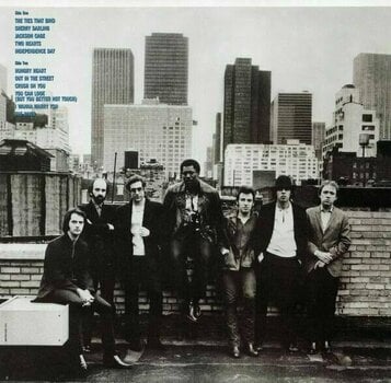 LP Bruce Springsteen - The Album Collection Vol 1 1973-1984 (Box Set) - 40