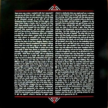 Disque vinyle The White Stripes - Get Behind Me Satan (2 LP) - 10