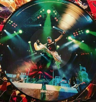 Disco de vinilo Iron Maiden - En Vivo! (Picture Disc) (2 LP) - 12