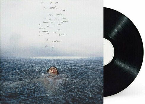 Vinyl Record Shawn Mendes - Wonder (LP) - 2