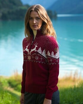 Ski T-shirt /hættetrøje Dale of Norway Dale Christmas Womens Red Rose/Off White/Navy XS Jumper - 2