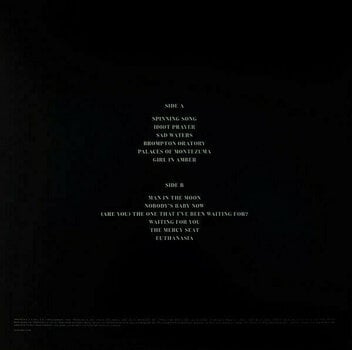 Vinylplade Nick Cave - Idiot Prayer (Nick Cave Alone At Alexandra Palace) (2 LP) - 9