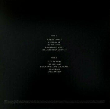 Vinyylilevy Nick Cave - Idiot Prayer (Nick Cave Alone At Alexandra Palace) (2 LP) - 10