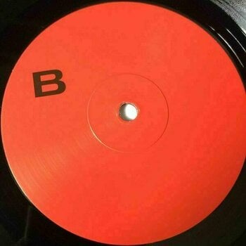 Vinyl Record Liberato - Liberato (LP) - 4
