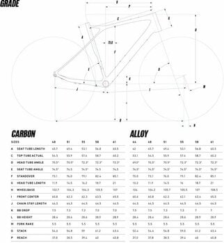 Gravel / Cyclocross Bike GT Grade Carbon Pro Shimano GRX RD-RX810 1x11 Raw 55 Shimano 2021 - 3