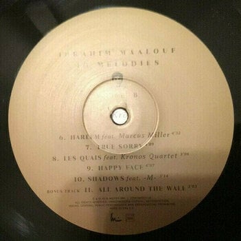 Vinyl Record Ibrahim Maalouf - 40 Melodies (LP) - 2