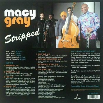 Vinylskiva Macy Gray - Stripped (180g) (LP) - 4