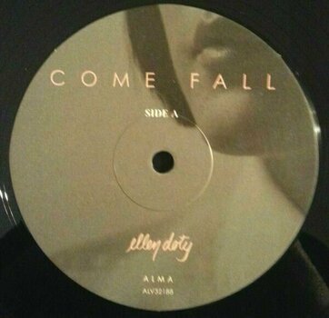 Vinyl Record Ellen Doty - Come Fall (LP) - 3