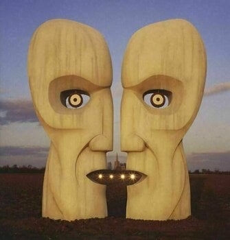 LP ploča Pink Floyd - The Division Bell (Remastered) (20th Anniversary Edition) (LP) - 4