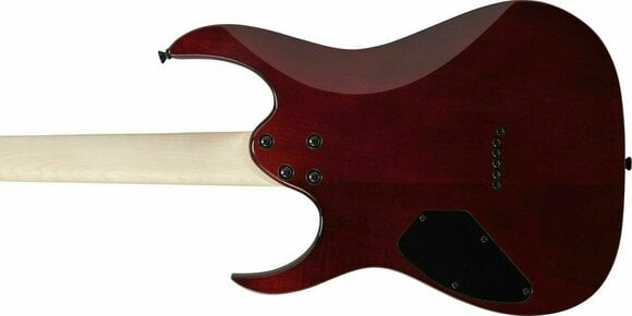 Electric guitar Ibanez GRGR221PA-AQB Aqua Burst - 5