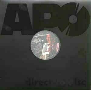 Disque vinyle Jerron Blind Boy Paxton - Jerron Blind Boy Paxton Volume 2 (LP) - 2