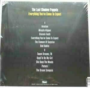 LP deska The Last Shadow Puppets - Everything You've Come To Expect (LP) - 5