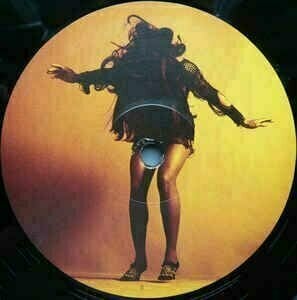 Vinyl Record The Last Shadow Puppets - Everything You've Come To Expect (LP) - 2