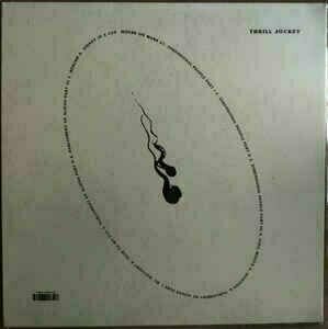 Disque vinyle Mouse On Mars - Dimensional People (LP) - 2