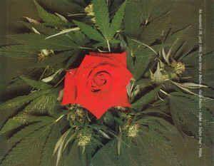 Hudební CD Kreslin Vlado - Generacija (CD) - 2