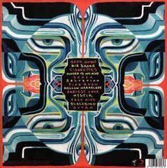 Vinyl Record Tash Sultana - Flow State (LP) - 1
