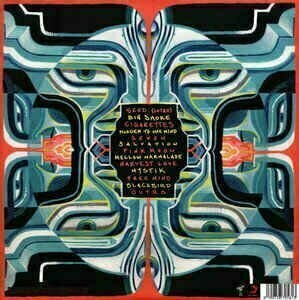 Vinylplade Tash Sultana - Flow State (LP) - 2