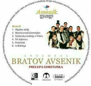 Vinyl Record Ansambel Bratov Avsenik - Prelepa Gorenjska (LP) - 4